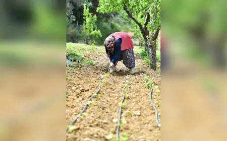 İzmir’de Organik Tarımın 15 Yıllık Başarı Öyküsü: “Ekopazar İzmir”