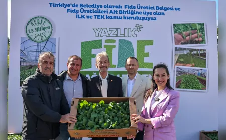 Beykoz Belediyesi’nden Çiftçiye 1 Milyon 50 Bin Yazlık Fide Desteği