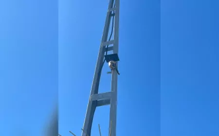 Yalova’da Çevreyi Kirletenlere Fotokapanlı Takip