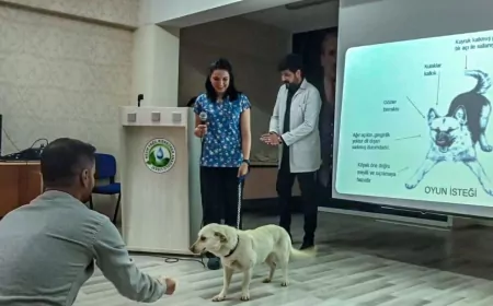 Van Büyükşehir Belediyesi’nden Öğrencilere Sokak Hayvanları Semineri