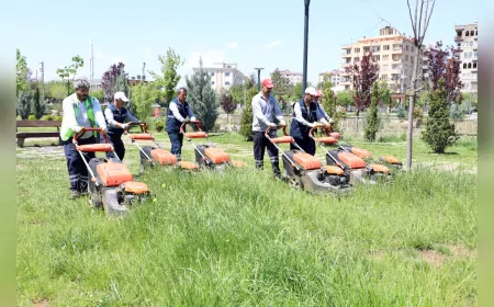 Diyarbakır’da Park ve Yeşil Alanlar Yaza Hazırlanıyor