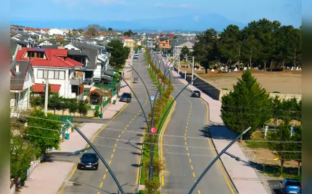 Sakarya’da Yeşil Dönüşüm Hız Kazandı: 13 Ayda 2 Bin 447 Ağaç Toprakla Buluştu