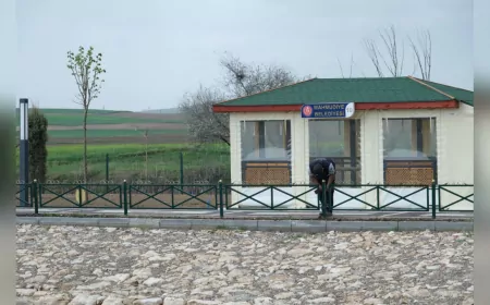 Büyükşehir’den Mahmudiye’ye Yeşil Destek: Göletli Park Çalışmaları Sürüyor