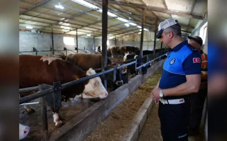 Düzce’de Kurban Satış ve Kesim Yerlerine Sıkı Denetim