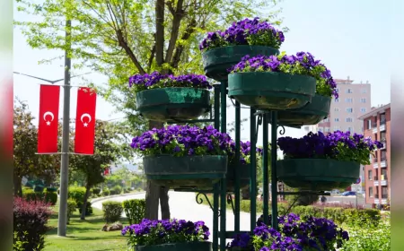 Eskişehir’in Refujleri Baharın Renkleriyle Canlandı