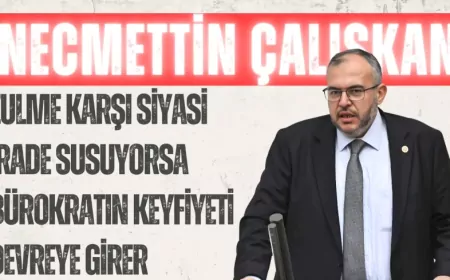 Necmettin Çalışkan: ‘Zulme karşı siyasi irade susuyorsa bürokratın keyfiyeti devreye girer’