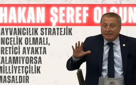 Hakan Şeref Olgun: ‘Hayvancılık stratejik öncelik olmalı, üretici ayakta kalamıyorsa milliyetçilik masaldır’
