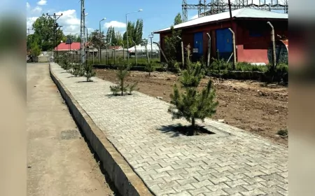 Ağrı Belediyesi’nden Yeşil Atılım: 720 Sarı Çam Ağacı Toprakla Buluşturuldu