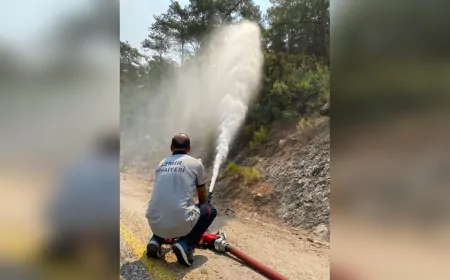 İzmir'de Yaz Alarmı: Yangın Risk Haritası Hazırlandı