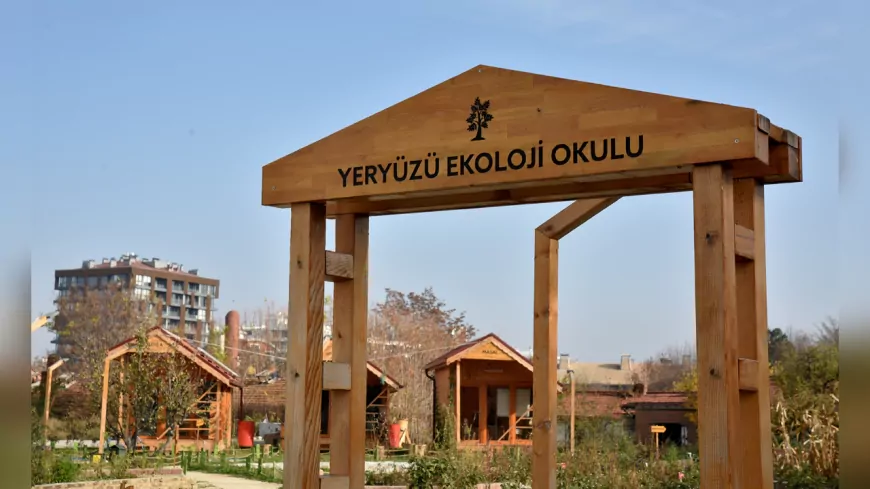 Yeryüzü Ekoloji Okulu’nda Mayıs Ayı Atölyeleri Başlıyor