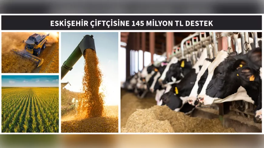 Eskişehirli Çiftçiye 145 Milyon TL’lik Dev Destek