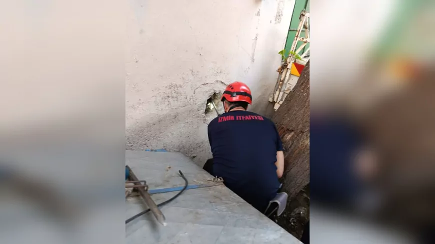 İzmir İtfaiyesi’nden Hayat Kurtaran Operasyon: Havalandırma Bacasına Sıkışan Kedi 4 Saatte Kurtarıldı