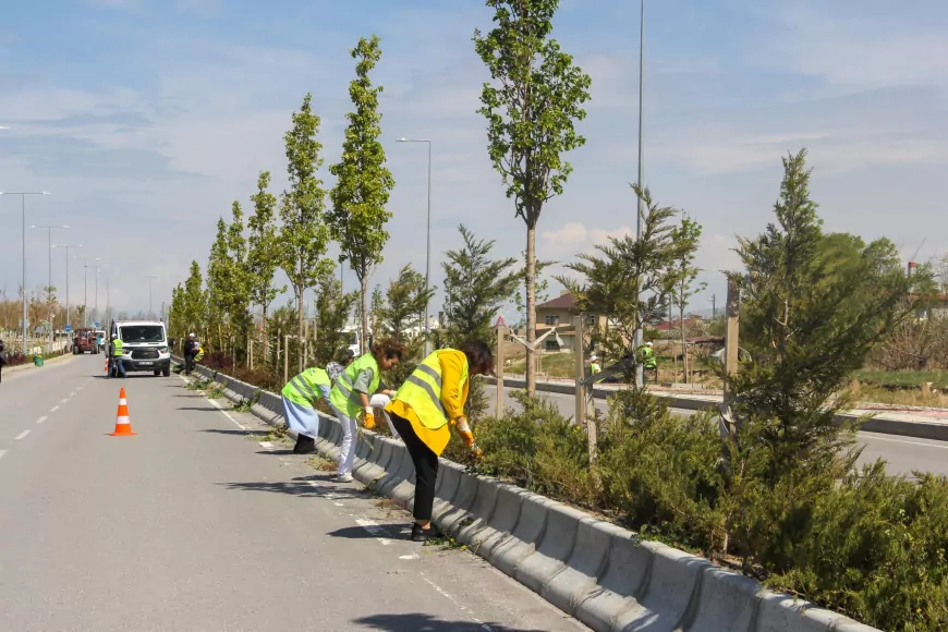 Van Sahil Yoluna Bahar Temizliği