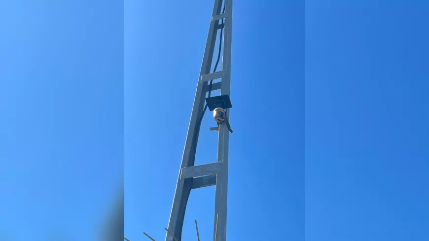Yalova’da Çevreyi Kirletenlere Fotokapanlı Takip