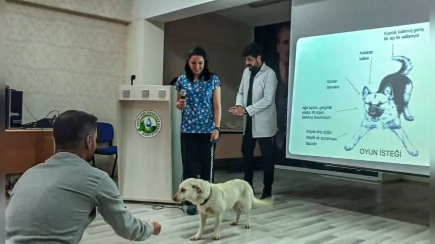 Van Büyükşehir Belediyesi’nden Öğrencilere Sokak Hayvanları Semineri