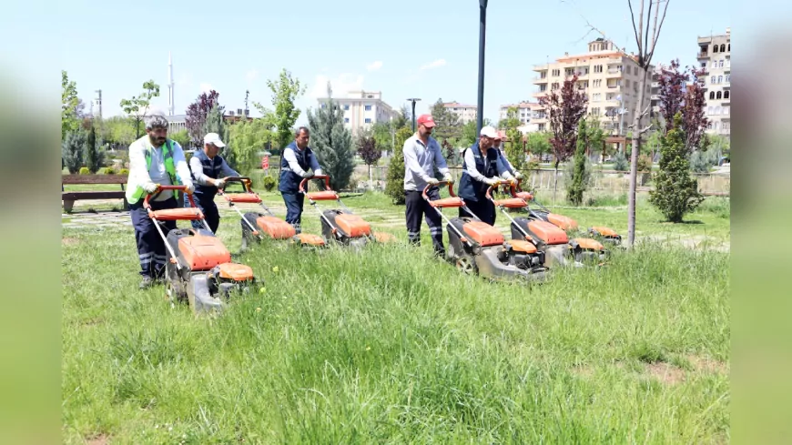 Diyarbakır’da Park ve Yeşil Alanlar Yaza Hazırlanıyor