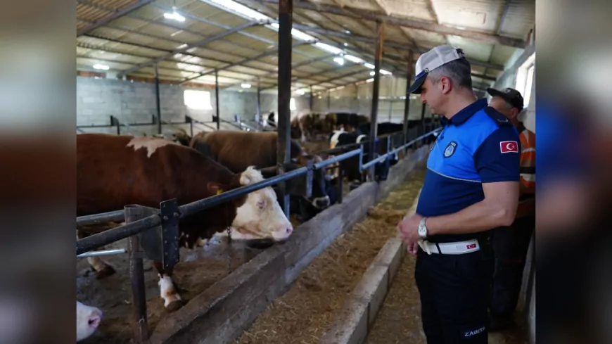 Düzce’de Kurban Satış ve Kesim Yerlerine Sıkı Denetim