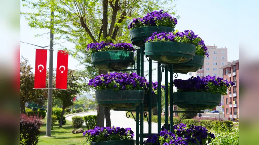 Eskişehir’in Refujleri Baharın Renkleriyle Canlandı