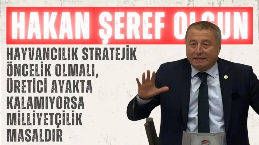 Hakan Şeref Olgun: ‘Hayvancılık stratejik öncelik olmalı, üretici ayakta kalamıyorsa milliyetçilik masaldır’