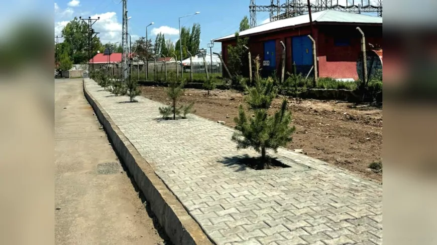Ağrı Belediyesi’nden Yeşil Atılım: 720 Sarı Çam Ağacı Toprakla Buluşturuldu