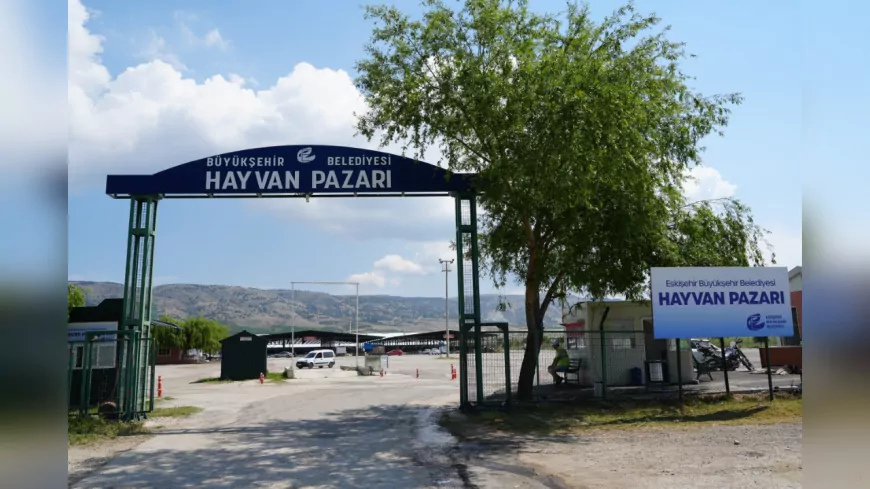 Eskişehir Hayvan Pazarı Kurban Bayramı’na Hazır: Yeni Kesim Alanı Hizmete Girdi