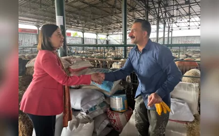 CHP’li Süllü Hayvan Pazarında Uyardı: “Hayvancılık Can Çekişiyor, Vatandaş Etten Uzaklaşıyor”