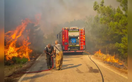 İzmir’den Örnek Uygulama: Orman Yangınlarına Karşı Acil Eylem Planı Hazır