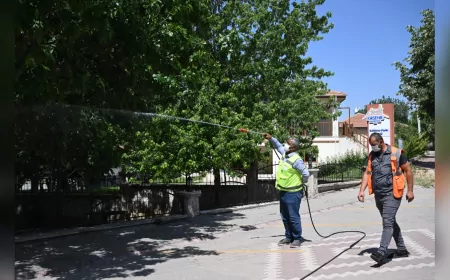 Kırşehir Belediyesi Yaz Boyunca İlaçlama ve Dezenfeksiyon Çalışmalarını Sürdürüyor