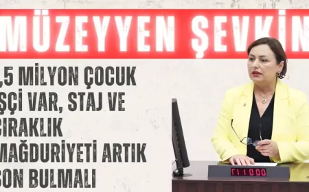 CHP’li Müzeyyen Şevkin: ‘1,5 milyon çocuk işçi var, staj ve çıraklık mağduriyeti artık son bulmalı’