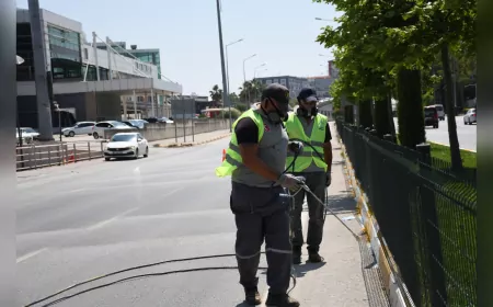 Balıkesir Büyükşehir Belediyesi’nden Refüjlere Estetik Dokunuş