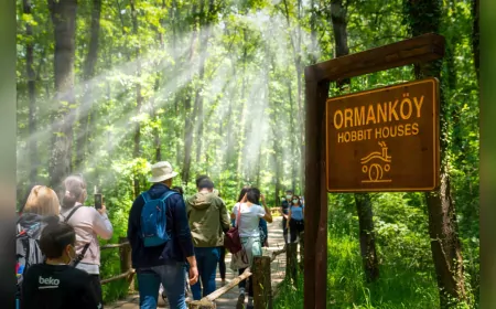 Ormanya 2025 Yazına Hazır: Sürdürülebilir ve Konforlu Doğa Deneyimi