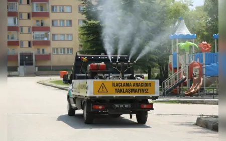 Odunpazarı Belediyesi’nden Kenelere Karşı Etkili Mücadele