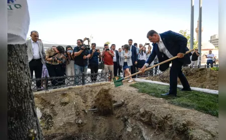 İzmir’in Kalbine Yeni Bir Çınar: Tugay, Kırılan Ağacın Yerine Yenisini Dikti