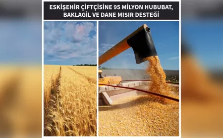 Eskişehir’de Çiftçiye 95 Milyon TL Hububat ve Baklagil Desteği