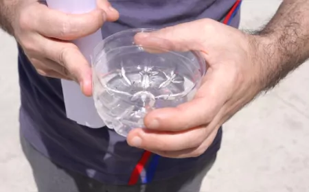 Düzce Belediyesi’nden Sinekle Mücadele Çağrısı: “Bir Bardak Su, 100 Sivrisineğe Yol Açabilir”