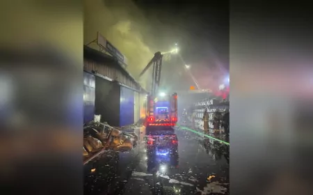 İzmir'de Hafta Sonu Yangınları Kontrol Altına Alındı