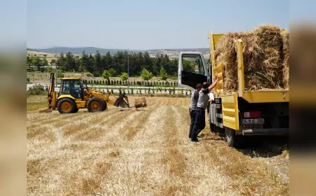 Balıkesir Büyükşehir Kendi Yulafını Ekti, 7.500 Balyalık Verim Elde Etti