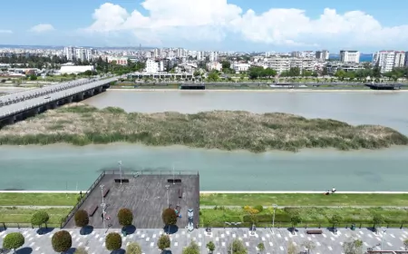 Boğaçayı’nda Doğa Yeniden Canlandı: 220 Kuş Türü Gözlemlendi