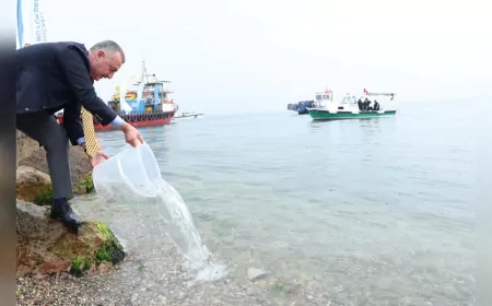 Kocaeli Büyükşehir Belediyesi’nden Çevre Zaferi: İzmit Körfezi Ölümden Dirilişe
