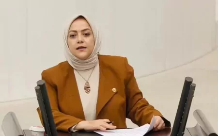 Gelecek Partili Sema Silkin Ün: ‘İsrail ordusunda görev alan çifte vatandaşlar Türkiye için potansiyel Mossad casusudur’