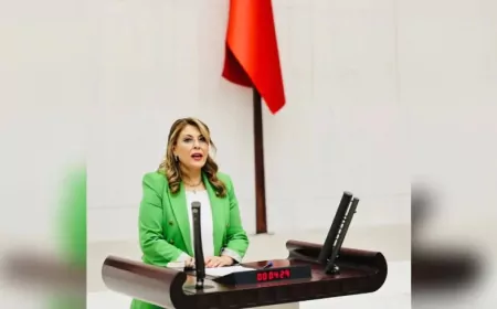 CHP Giresun Milletvekili Elvan Işık Gezmiş: 'Asıl kamu yararı toprağı, suyu, havayı korumaktır; fındık bahçelerimizden elinizi çekin!'