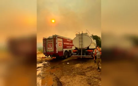Eskişehir Büyükşehir Belediyesi’nden Gölpazarı ve Osmaneli’deki Orman Yangınına Destek