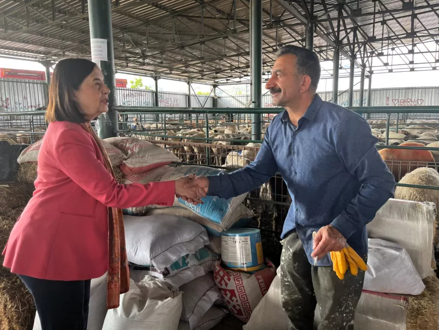 CHP’li Süllü Hayvan Pazarında Besicilerin ve Vatandaşın Sesini Dinledi