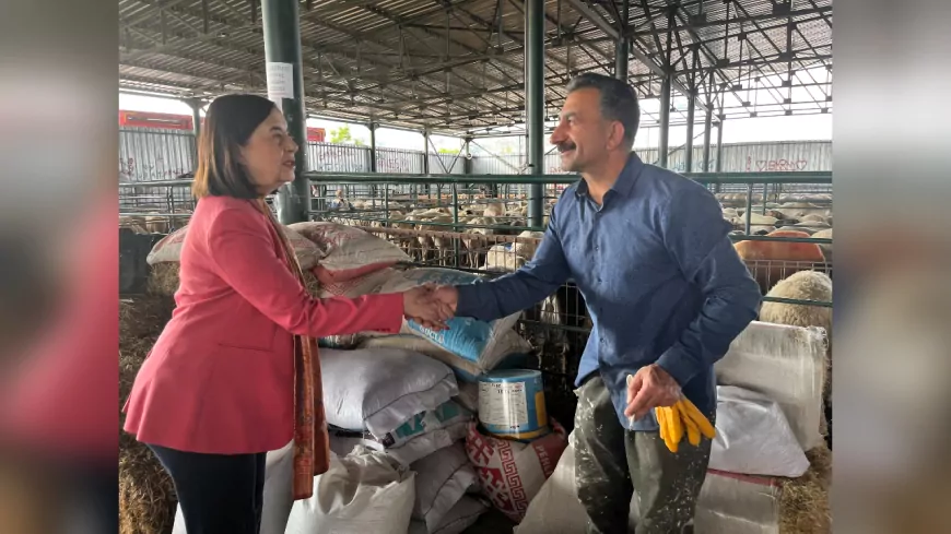 CHP’li Süllü Hayvan Pazarında Uyardı: “Hayvancılık Can Çekişiyor, Vatandaş Etten Uzaklaşıyor”