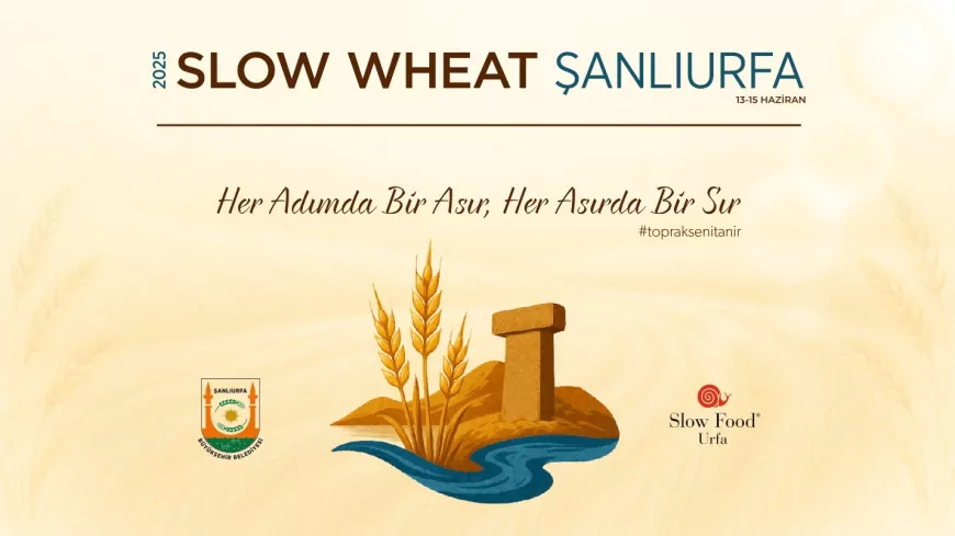 Uluslararası Buğday Festivali: Slow Wheat Şanlıurfa 2025 Başlıyor