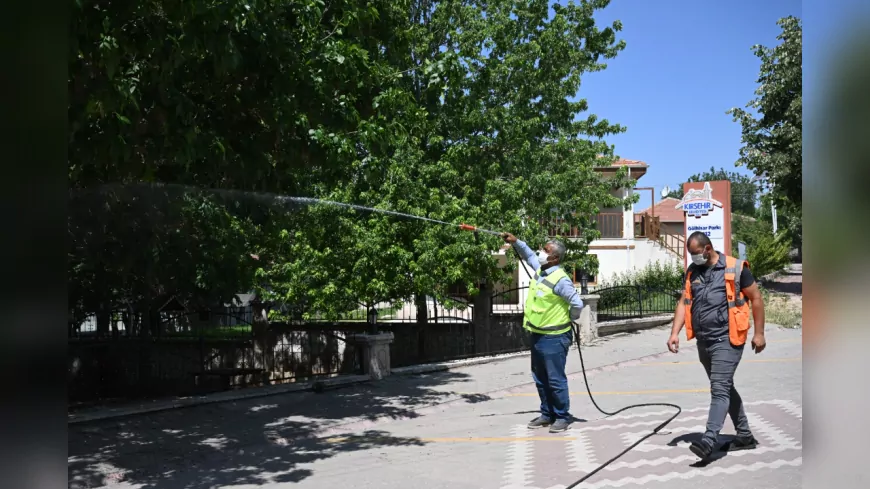 Kırşehir Belediyesi Yaz Boyunca İlaçlama ve Dezenfeksiyon Çalışmalarını Sürdürüyor