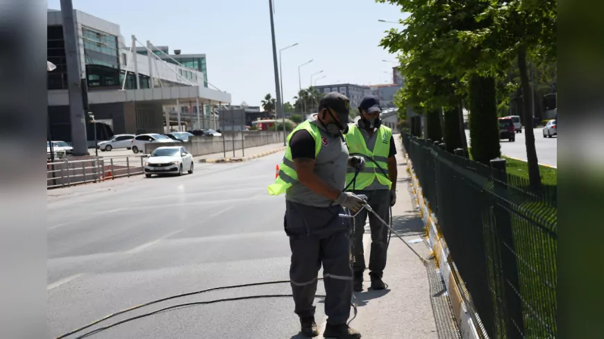 Balıkesir Büyükşehir Belediyesi’nden Refüjlere Estetik Dokunuş