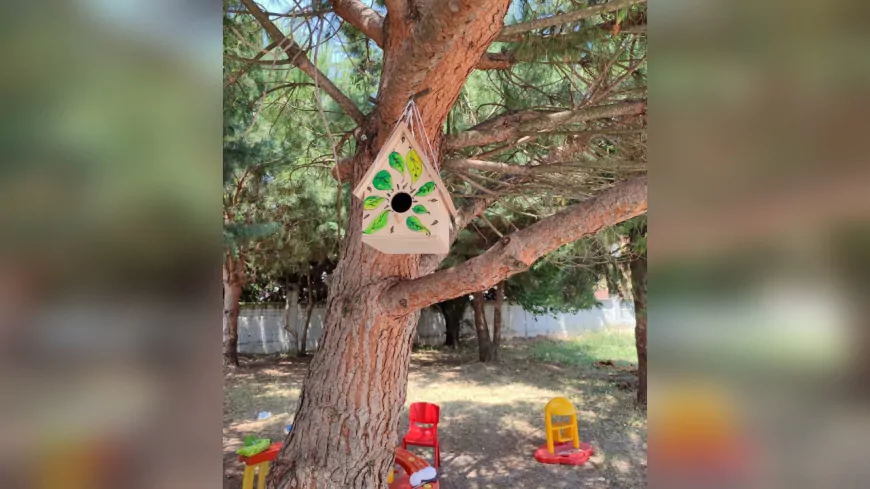 Gökyüzünün Can Dostlarına Özel Ellerden Sıcacık Yuva