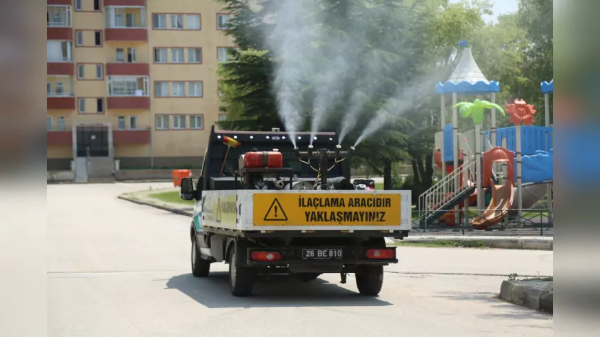 Odunpazarı Belediyesi’nden Kenelere Karşı Etkili Mücadele