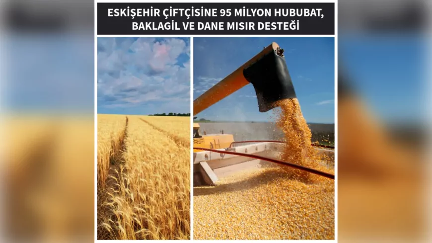Eskişehir’de Çiftçiye 95 Milyon TL Hububat ve Baklagil Desteği